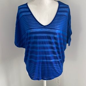 Express v-neck sheer striped top